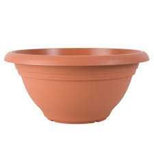 Bowl (Meduim Sized)