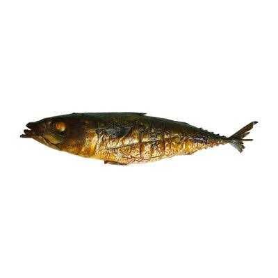 Roasted Fish - Titus