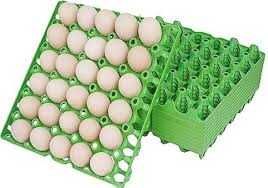 Egg Crate