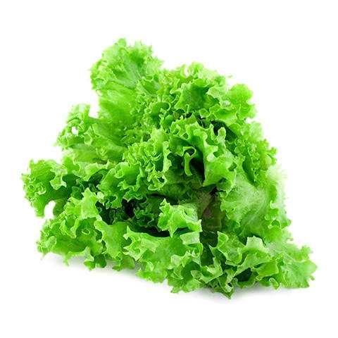 Lettuce