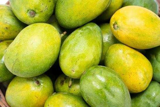 Mango