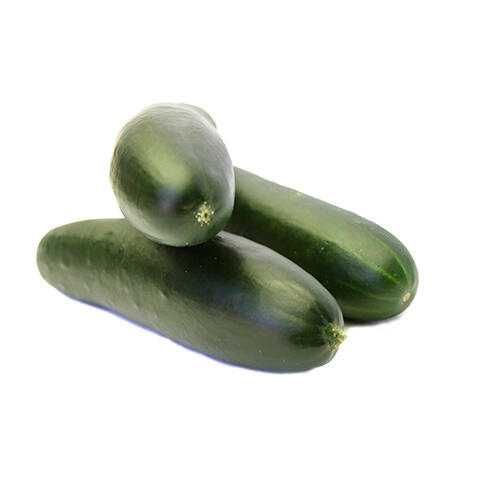 Cucumber (Small)