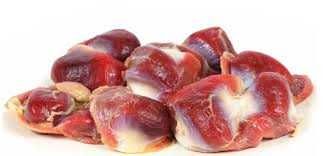 Turkey Gizzard