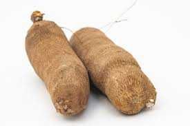 Yam (Medium)