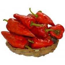 Cayenne Pepper (Shombo)