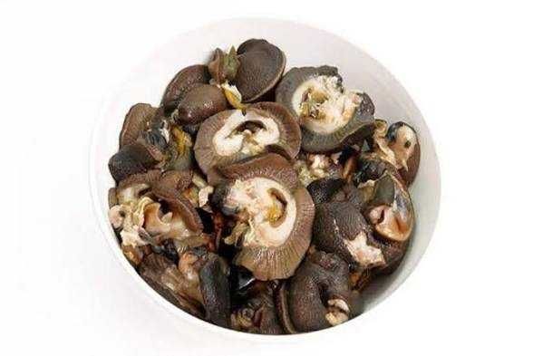 Snail - (20pcs)