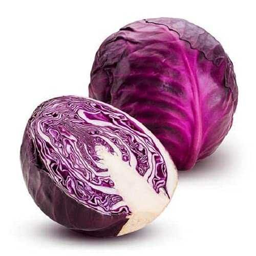 Cabbage (Purple)